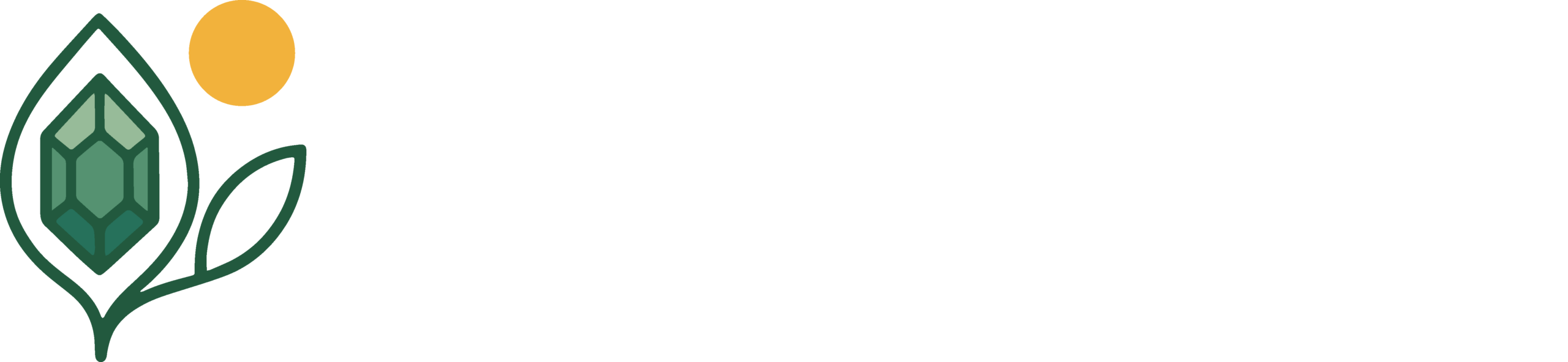 Pacific reality solutions